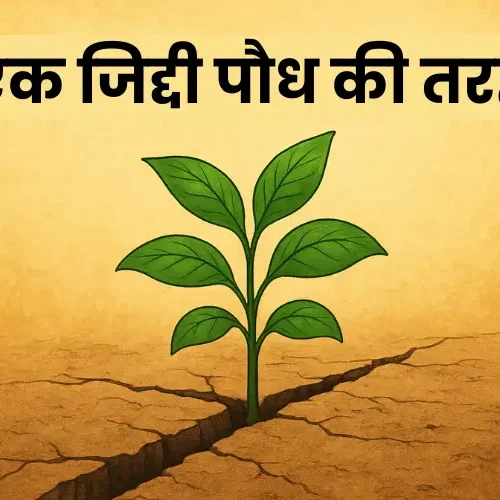 एक जिद्दी पौध की तरह